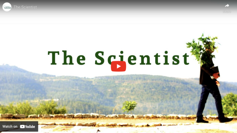 The Scientist